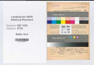 Entnazifizierung Kurt Balke, geb. 15.05.1900 (Telegrafeninspektor)