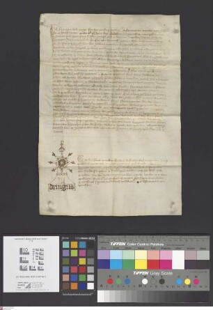 Seligenstadt: Instrumentum notariale super depositione agnetis monialis in Schmerlebach quod Theodericus de Erlebach canonicus ecclesiae Seligenst...