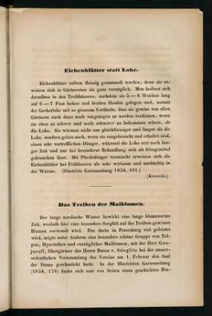 175, Eichenblätter statt Lohe