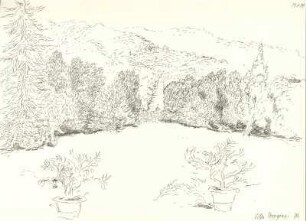 Park der Villa Torrigiani