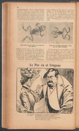 La Paz en el Uruguay - [Caricatura]