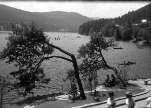 Titisee: Kurpromenade am See
