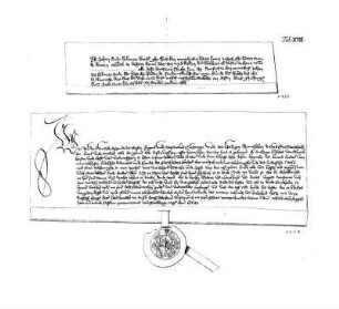 Tab. XVII.