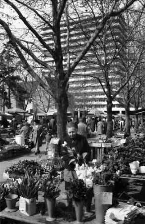Lörrach: Marktszenen, Vordergrund Blumenstand, Hintergrund Hochhaus