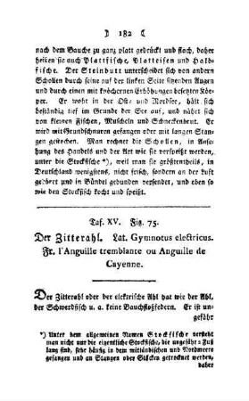 ¬Der¬ Zitterahl : Taf. XV, Fig. 75