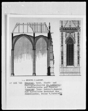 Münster, Katholische Stadt- und Marktpfarrkirche Sankt Lamberti, zwei Gewölbejoche und Fenster (System)