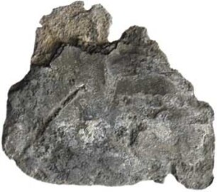 Umayyaden