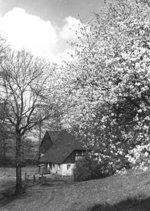 Schönfeld (Dresden-Schönfeld). Bockmühle (ehem. Wassermühle, E. 18. Jh.)