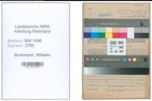 Entnazifizierung Wilhelm Brinkmann , geb. 02.03.1895 (Verwaltungsangestellter)