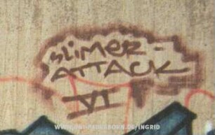 SLiMER - ATTACK VI