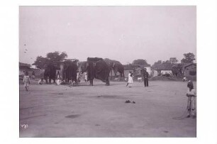 Indien (?). Straßenszene mit Elefanten und Einheimischen vor einer Ansiedlung