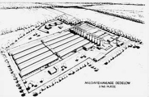 Milchviehanlage DEDELOW 3745 Plätze