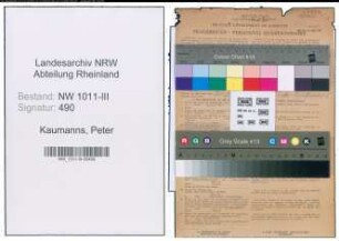Entnazifizierung Peter Kaumanns , geb. 10.07.1900 (Motorenschlosser)