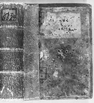 Considerationes gratiae dei 'Ascendam in palmam .. his verbis ostendit' - BSB Clm 9624