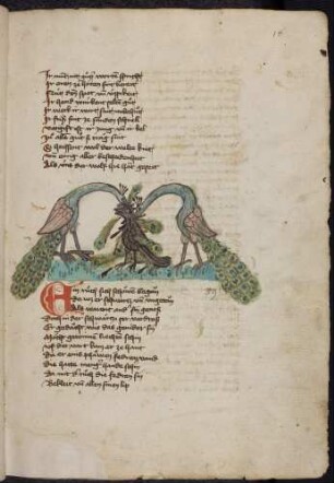 Krähe und Pfauen; (Von einer Krähe mit Pfauenfedern, Kapitel XXXIX nach Pfeiffer)