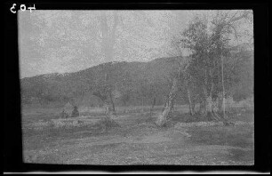 Domnetal (=Tal des Râul Doamnei, Fluss in Rumänien): Ebene mit Bäumen, im Hintergrund eine Anhöhe