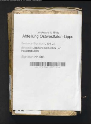 Salbuch des Fleckens Schwalenberg von 1781
