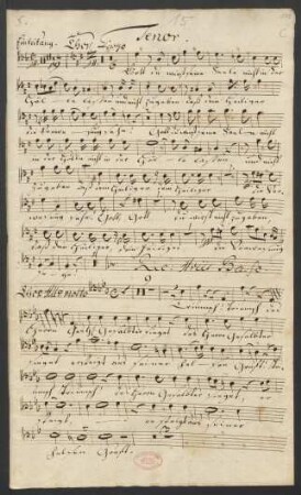 Tenor[e]