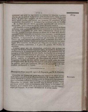 Description d´une nouvelle espèce de Piqueria;