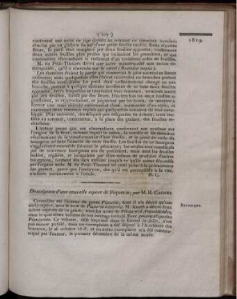 Description d´une nouvelle espèce de Piqueria;