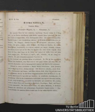 Gramineae. Avena sativa, L. Gemeiner Hafer. (Triandria Digynia, L. - Gramineae, J.)