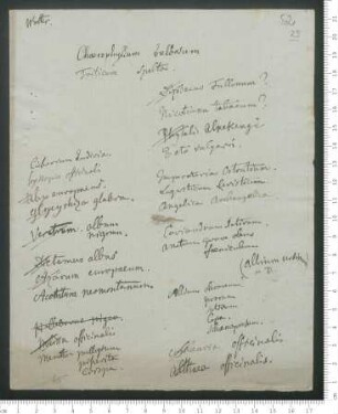 Pflanzenliste