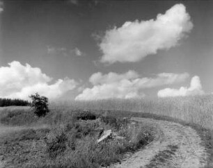 Wolkenbilder. Wolken über einem Feldweg