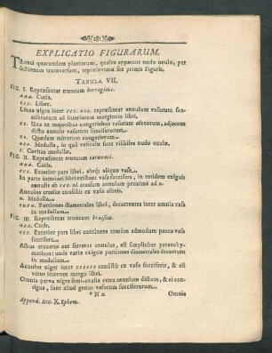 Explicatio Figurarum.