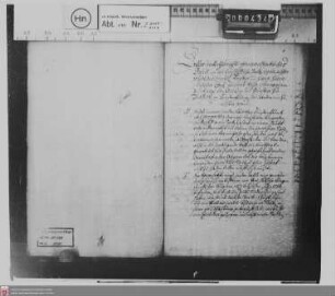 Herrschaftliches Salzregal im Fürstentum Nassau-Diez