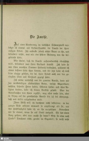 Die Ameise