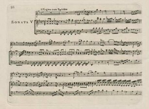 26-31 Sonata V