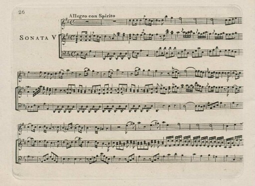 26-31 Sonata V