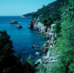 Skopelos. Steilküste mit Nadelwald im Westen der Insel