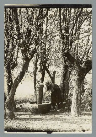Saalfeld. Park der Villa Bergfried, Brunnen mit musizierendem Harlekin. Frau an einem Brunnen Wasser holend