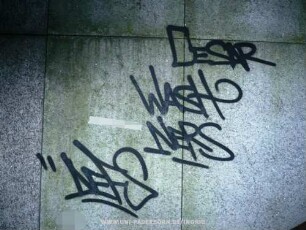 CESAR WASH NERS "DEFS