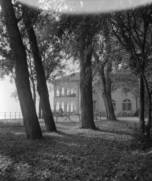 Gebäude unter alten Bäumen, vielleicht am Bodensee