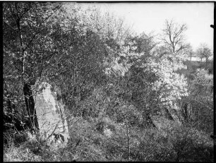 Oberöwisheim Judenfriedhof Grabsteine
