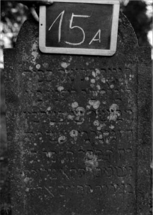 Grabstein 15 (Index: 100111033) Material: Sandstein Zustand: leicht verwittert Maße HxBxT: 100x50x11 cm Beschreibung: Stele, eingezogener Rundbogenabschluß, Schriftfeld eingetieft Besonderheit: Kindergrab: Grabstein 15A