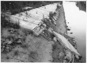 Uferbefestigung mit Betonplatten, Böschungsschaden