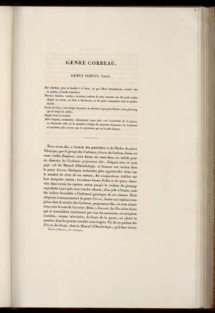Genre Corbeau.
