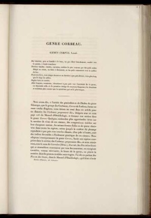 Genre Corbeau.