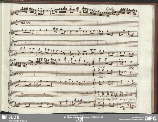 Aria: Fuggi dagl'occhi miei