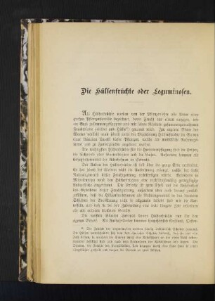 Die Hülsenfrüchte oder Leguminosen.