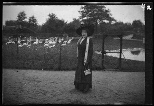 Hamburg: Dame ("nette Hamburgerin, mit der sich Eugen von Frauenholz gut vertrug") im "Tierpark von Hagenbeck in Stellingen" vor Flamingo-Gehege (zum Fotografen blickend)