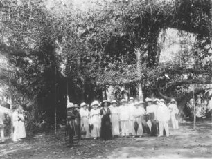 Indien. Gruppenbild mit Touristen der Hapag unter einem Mammuntbaum, wohl in einer Parkanlage