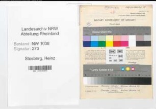Entnazifizierung Heinz Stosberg , geb. 11.03.1909 (Techniker)