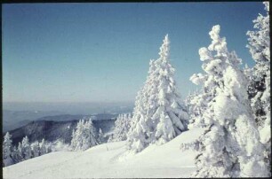 Winterlandschaft am Feldberg