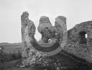 Ruine Neuhausen