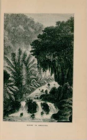 Scene in Amboyna