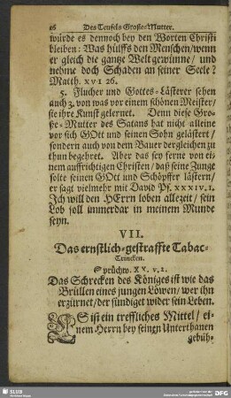 VII. Das ernstlich-gestraffte Tabac-Trincken